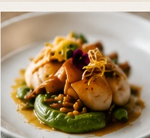 Dish